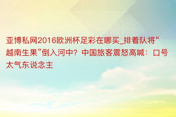 亚博私网2016欧洲杯足彩在哪买_排着队将“越南生果”倒入河中？中国旅客震怒高喊：口号太气东说念主